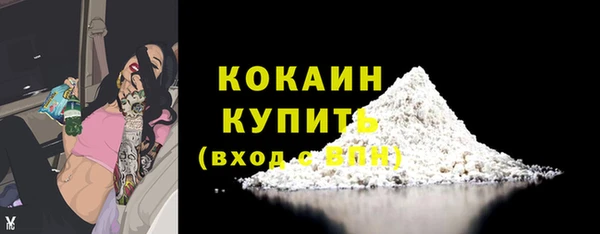 шишки Пересвет