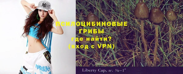ALPHA PVP Аркадак