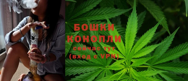 шишки Пересвет
