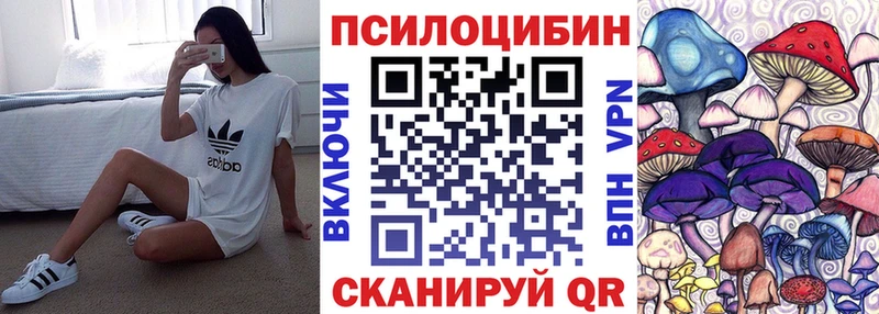 где купить   Полярные Зори  Галлюциногенные грибы мухоморы 