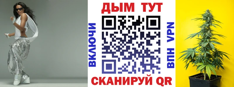 закладка  Полярные Зори  Конопля гибрид 